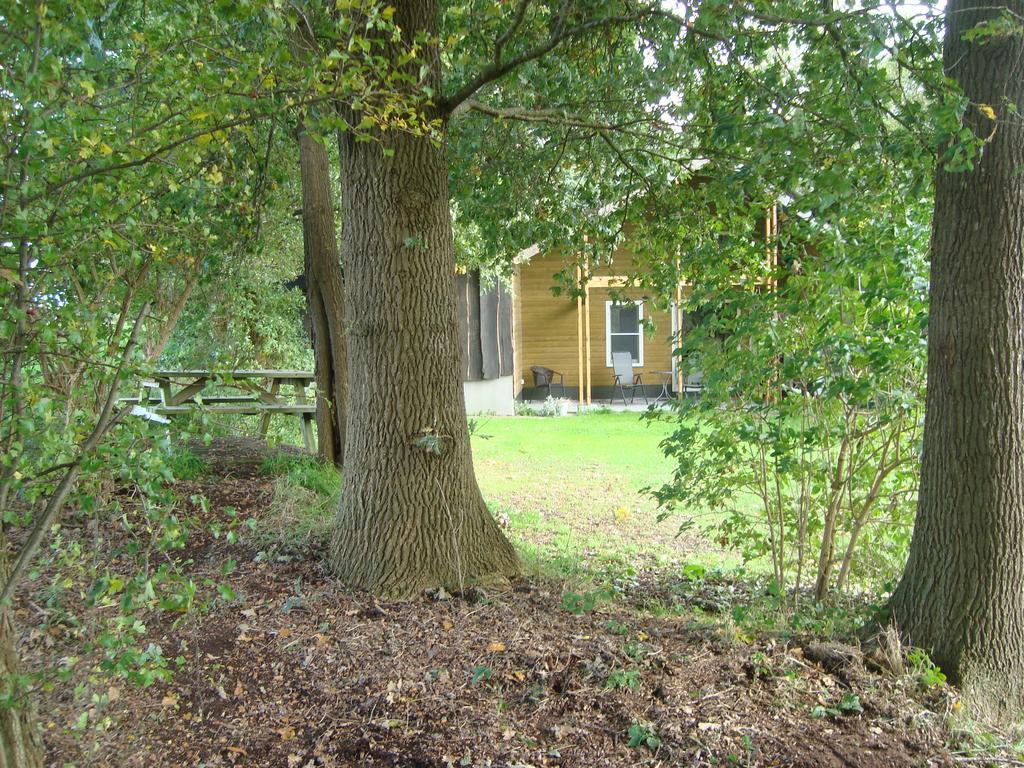 't Zwaluwnest Appartement *